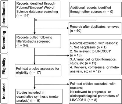 Long Intergenic Non-protein Coding RNA 511 in Cancers